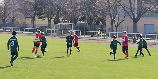 17.03.2019 VfB Gräfenhainichen II vs. JSG Heidekicker