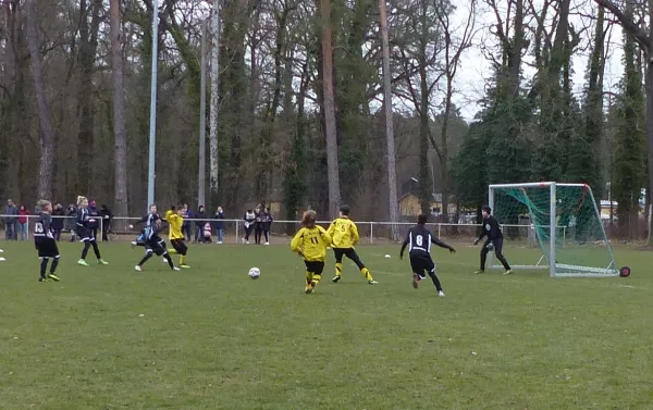 03.03.2019 JSG Heidekicker II vs. SV Dessau 05
