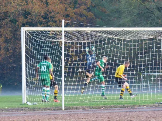 07.11.2015 SV Hellas 09 vs. VfL 96 Tornau