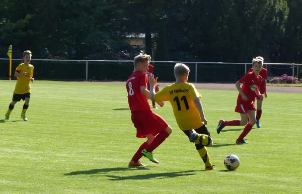 31.05.2017 JSG Heidekicker vs. Wittenberg/Reinsdorf