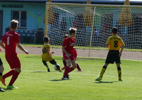 31.05.2017 JSG Heidekicker vs. Wittenberg/Reinsdorf