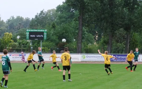 23.06.2018 Grün-Weiß Annaburg vs. JSG Heidekicker