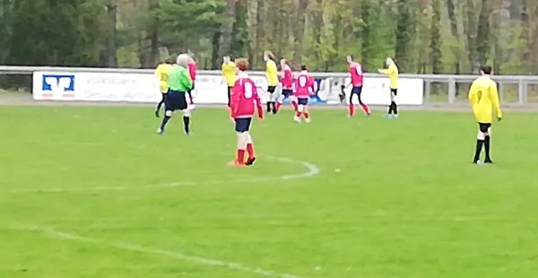 14.04.2019 JSG Heidekicker II vs. SV Blau-Rot Coswig