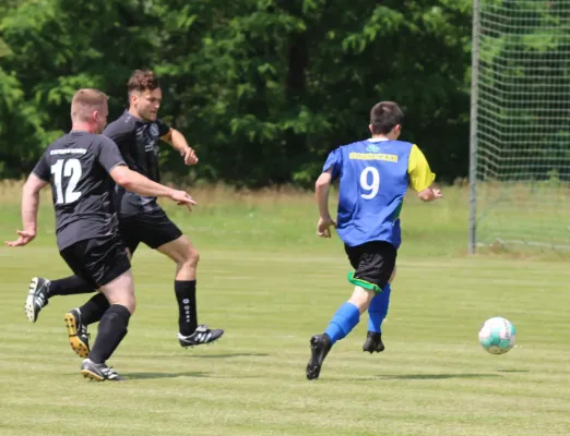 08.06.2024 SV Wartenburg vs. SG Heidekicker II