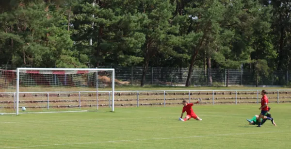 20.07.2024 SV Blau-Rot Coswig vs. SV Hellas 09