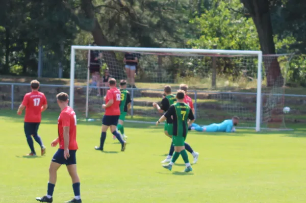 20.07.2024 SV Blau-Rot Coswig vs. SV Hellas 09