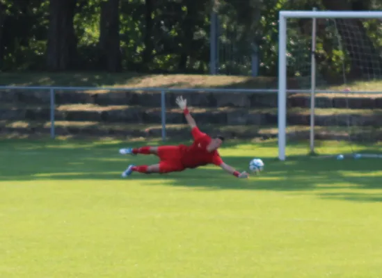 20.07.2024 SV Blau-Rot Coswig vs. SV Hellas 09