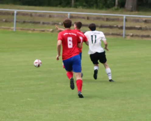 20.07.2024 SV Blau-Rot Coswig II vs. SV Hellas 09 II