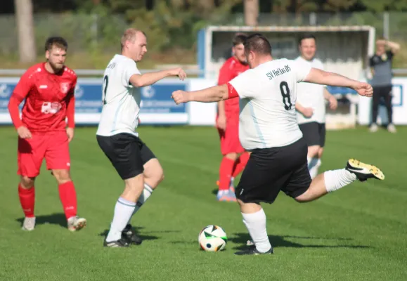 26.10.2024 SV Blau-Rot Coswig II vs. SV Hellas 09 II