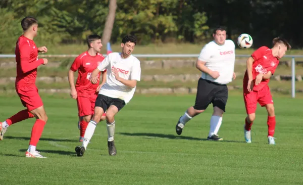 26.10.2024 SV Blau-Rot Coswig II vs. SV Hellas 09 II