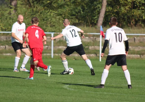 26.10.2024 SV Blau-Rot Coswig II vs. SV Hellas 09 II