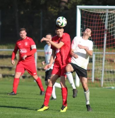 26.10.2024 SV Blau-Rot Coswig II vs. SV Hellas 09 II