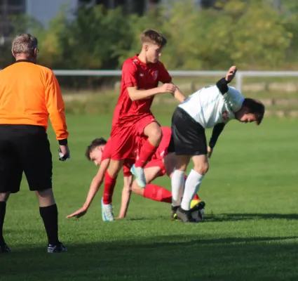 26.10.2024 SV Blau-Rot Coswig II vs. SV Hellas 09 II