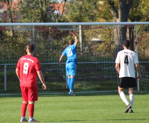 26.10.2024 SV Blau-Rot Coswig II vs. SV Hellas 09 II