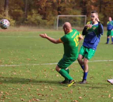 02.11.2024 SV Hellas 09 II vs. ESV Bergwitz 05 e.V.