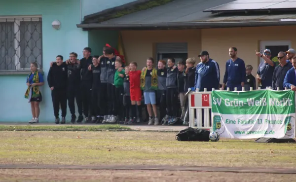 20.10.2024 SV Hellas 09 vs. Grün Weiß Wörlitz